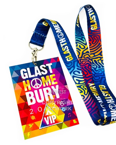 Glasthomebury festival party - glasthomebury,