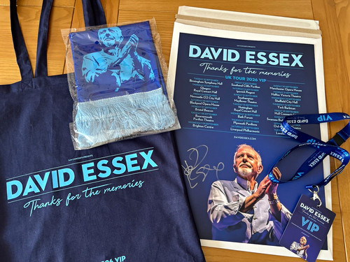 David essex vip tour 2024 - david,